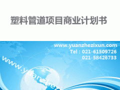 专业项目投资融资计划书撰写服务 中英文版本与全方位咨询支持