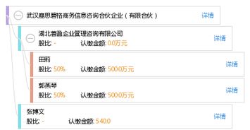 解析武汉靡思碧格商务信息咨询合伙企业 有限合伙模式下的专业咨询服务